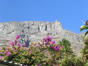 Table Mountain
